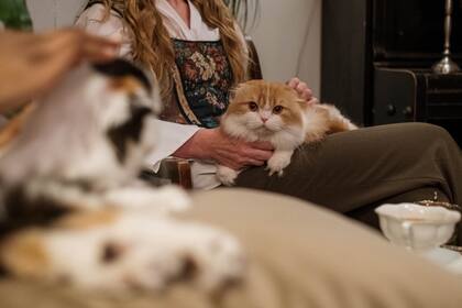 La mujer no pudo disimular su alegría (Foto ilustrativa: PEXELS)