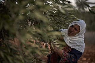 Arabia Saudí ejecuta a 2 bangladesíes por "actos indecentes" y más noticias de Oriente Medio