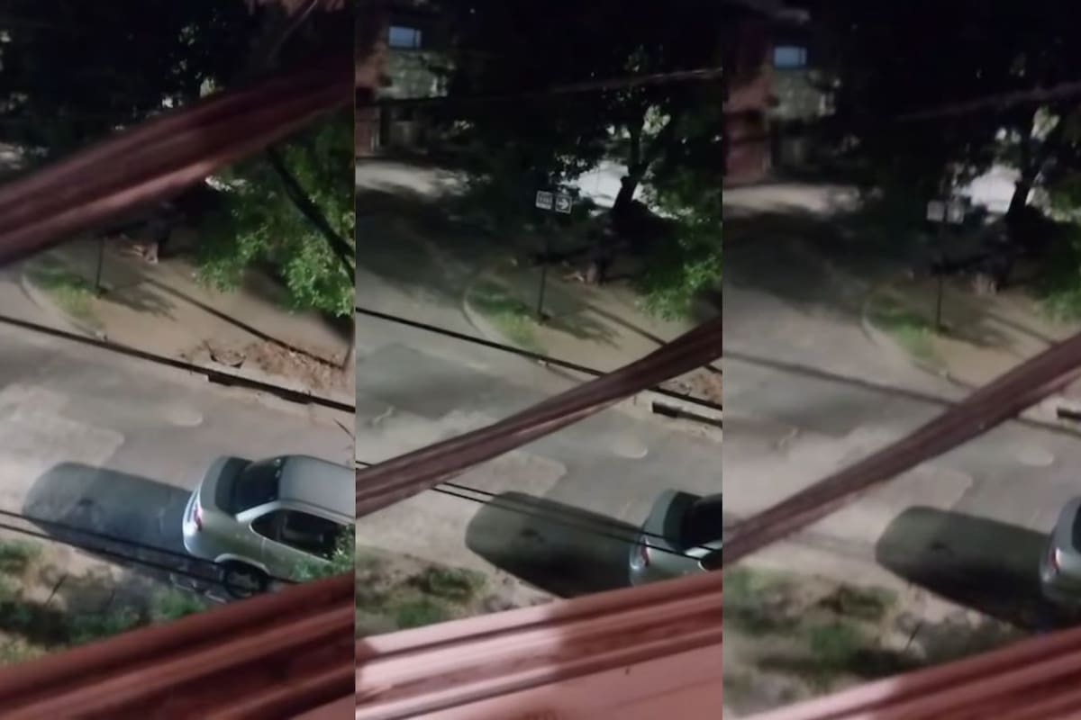 La mujer pidió auxilio tras ser apuñalada
