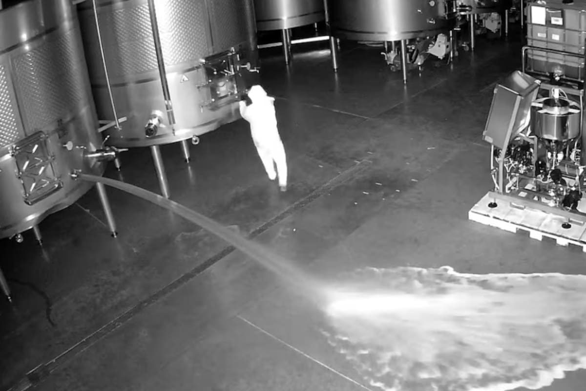 La mujer quedó captada por cámaras de seguridad (Foto: Captura)