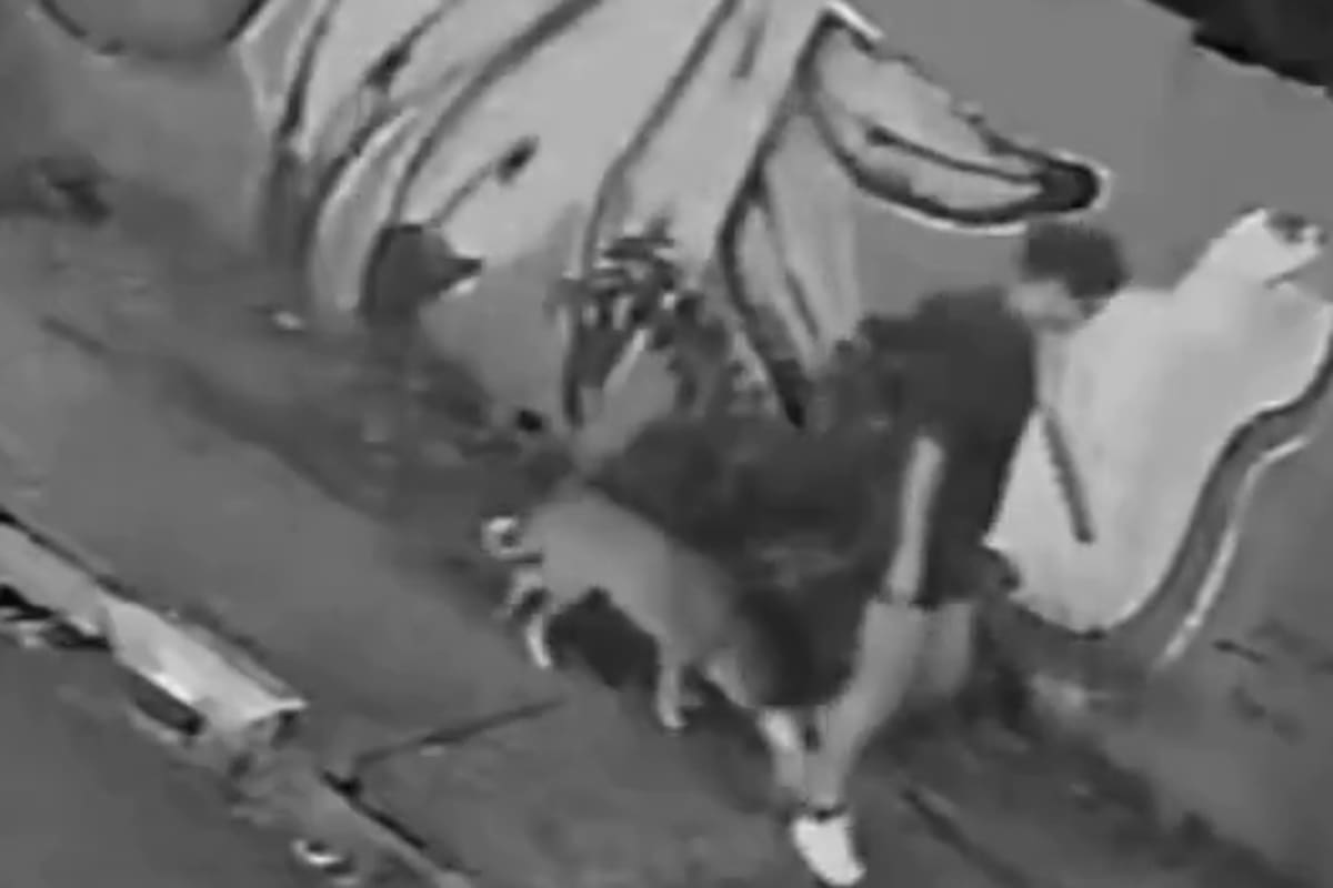 Uma jovem caiu em um esgoto enquanto passeava com seu cachorro no Brasil