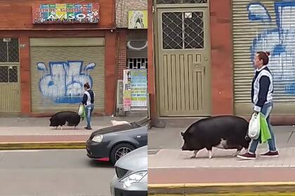 La mujer se mostró relajada con su mascota (Captura video)