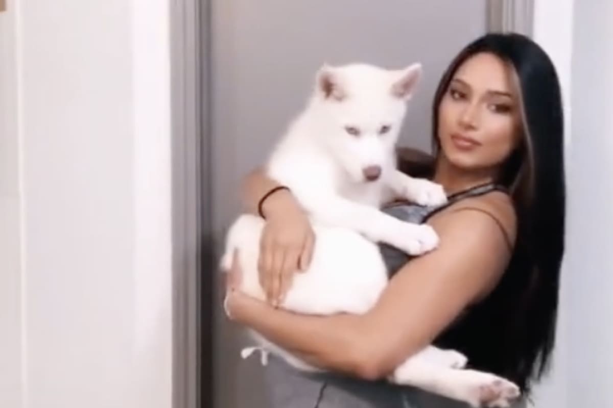 La mujer tenía un pequeño cachorro, pero cuando creció se dio cuenta de que era un perro lobo