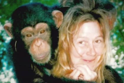 La mujer y el chimpancé se conocían de antes del ataque, por lo que se hace más difícil entender el por qué de la agresión