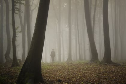 La multiplicidad de causas es el rasgo que caracteriza a los problemas complejos