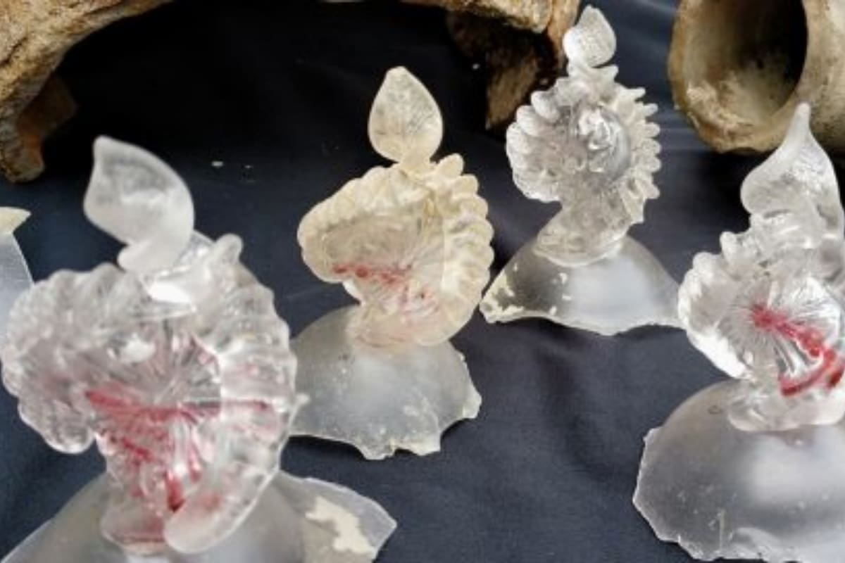 La municipalidad de Burgas afirmó que financiará nuevas investigaciones