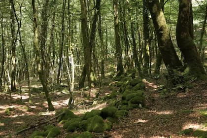 La muralla se extiende por 2,7 kilómetros