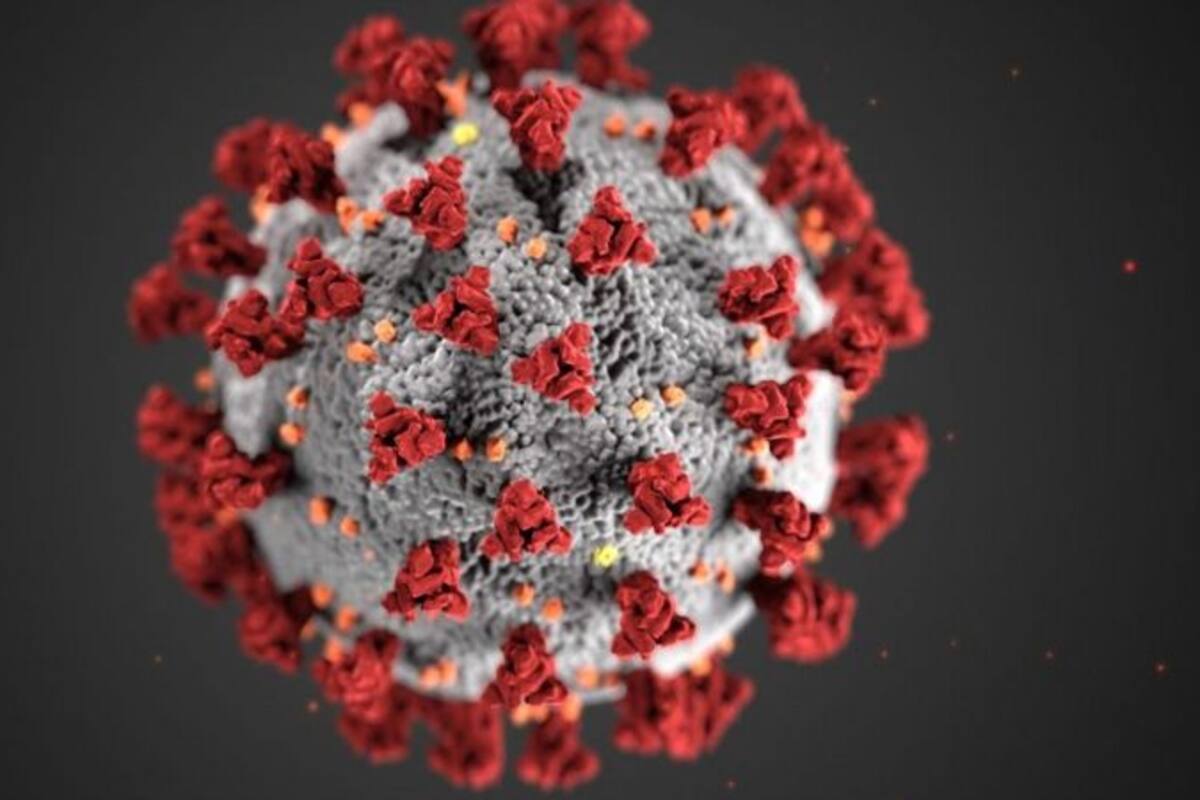 La mutación se produjo en la proteína espiga del coronavirus, objetivo científico para el desarrollo de vacunas y tratamientos.