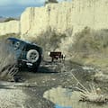 La experiencia de manejar por un histórico camino del Dakar en la Argentina