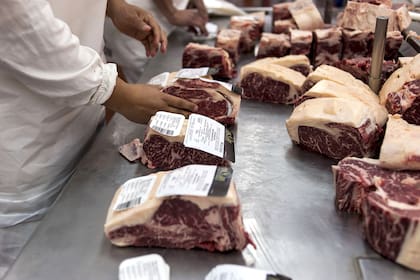 La producción de carne bovina obtenida en agosto de 2023 resultó cercana a las 278.700 toneladas equivalente res con hueso, una caída del 4,1% con respecto de julio y una baja de un 3,8% con respecto a agosto de 2022