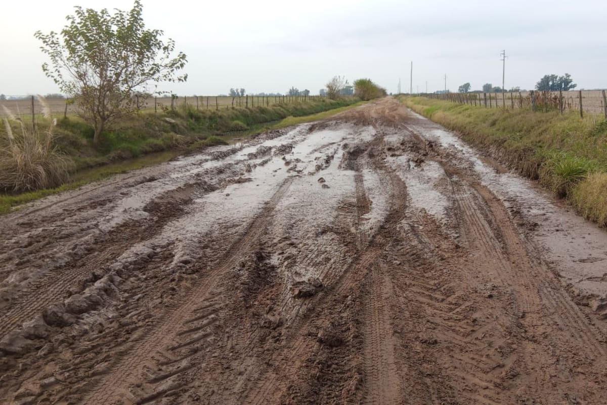 LA NACION lanza “Tasas Transparentes” para relevar el estado de los caminos rurales y las tasas viales en la provincia de Buenos Aires.