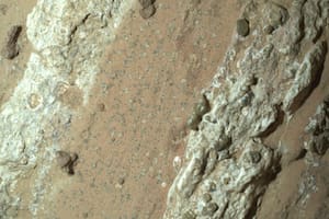 La NASA descubrió la mejor pista de la existencia de vida antigua en Marte hasta la fecha