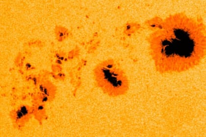 La NASA estudia las manchas solares para entender cómo funciona la estrella (Foto: NASA)