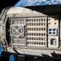 Enviaron semillas al espacio, seis años después las recuperaron y lo que descubrieron los dejó si palabras