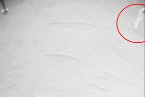 La NASA localizó un estilo de tela en una de las patas del helicóptero Ingenuity de Marte