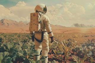La NASA ofrece miles de dólares a quienes descifren cómo producir alimento fuera de la Tierra para sus misiones