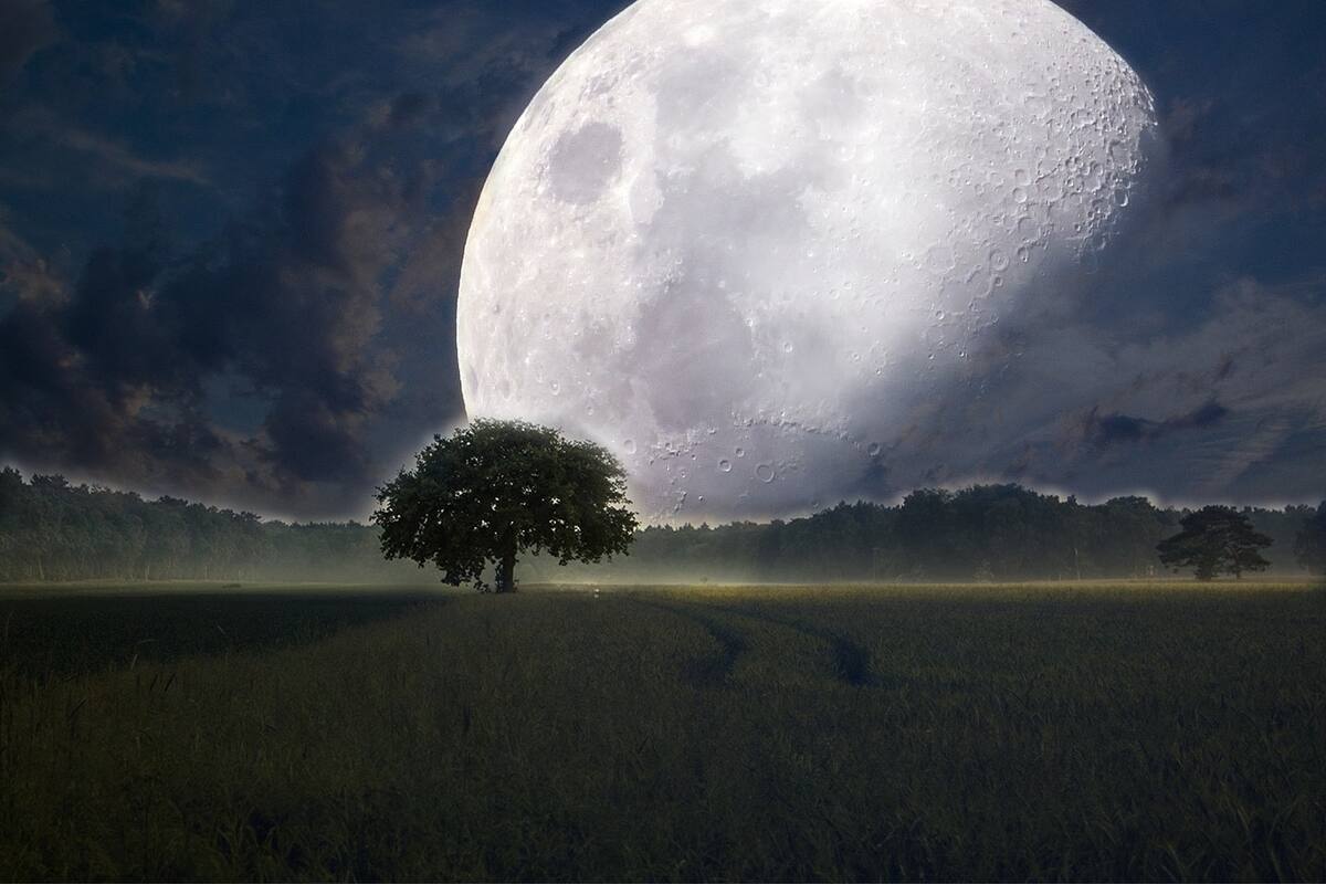 La NASA se propone instalar un reactor nuclear para realizar tareas de exploración en la Luna y en Marte a largo plazo.