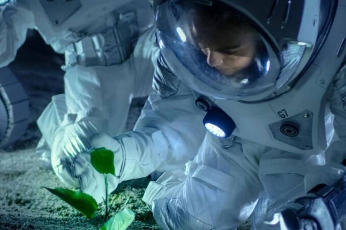 La NASA y la agencia espacial de Canadá lanzaron un desafío para brindar soluciones para la alimentación de las tripulaciones de astronautas que viajen al espacio