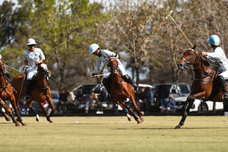 La camiseta con la que el supercampeón del polo homenajeó a la selección de fútbol y a Messi