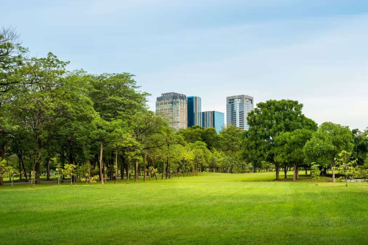 La “naturación” urbana tiene múltiples funciones y un impacto favorable en muchas dimensiones de la vida urbana