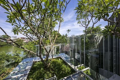 La naturaleza abraza la casa