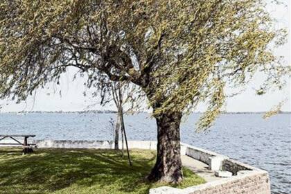 La naturaleza en su expresión