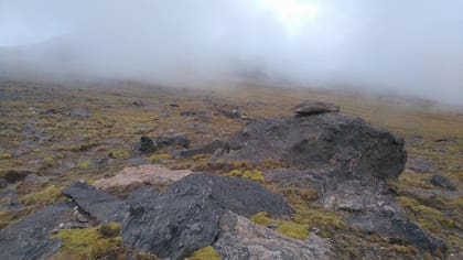 La neblina también estuvo presente en el principio de la carrera