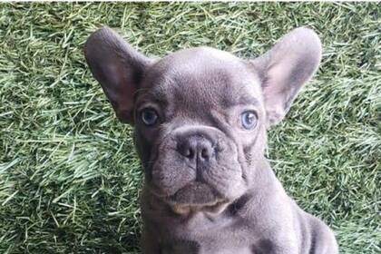 La negociación la hizo a través de una reconocida plataforma y terminó estafado