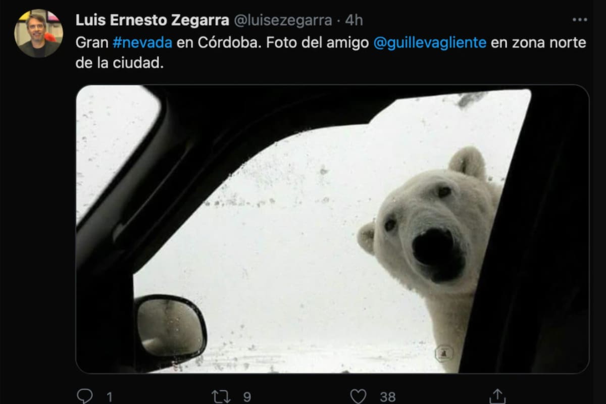 La nevada en Córdoba y la llegada del frío desató el debate y los memes en Twitter