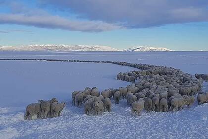 La nieve complicó este año a la actividad en Santa Cruz