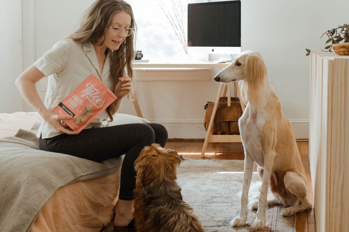 La niñera de perros deberá vivir en la mansión de la familia, ubicada en Londres