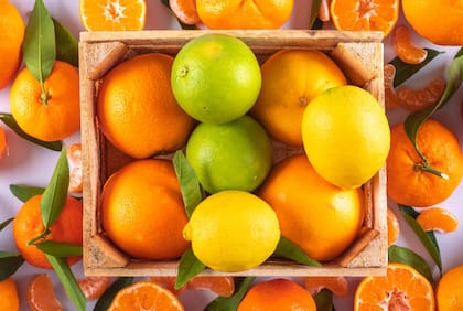 La norma a la que se refirió el abogado se centró en las naranjas