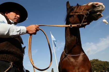 La norma eliminada declaraba al caballo de interés nacional y planteaba beneficios impositivos