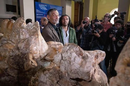 La noticia del hallazgo del Perucetus dio la vuelta al mundo
