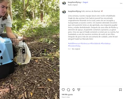 La noticia fue compartida por la cuenta de Instagram de la ONG (Foto: Captura Instagram/@keepthemflying)