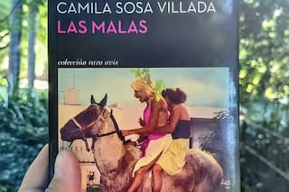 ¿En qué provincia transcurre la novela “Las malas”, de Camila Sosa Villada?