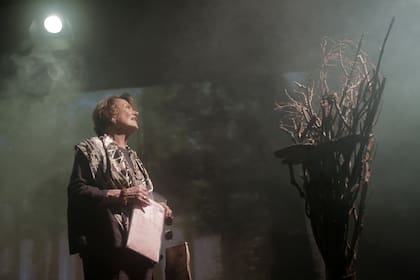 La novela Matate, Amor fue llevada al teatro en una obra que contó con la dirección de Marilú Marini (foto) y la actuación de Érica Rivas. Ellas, más la propia Ariana Harwicz se encargaron de la adaptación