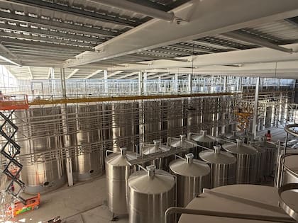 La nueva bodega de Peñaflor comenzará a operar durante la vendimia de 2027 y tendrá capacidad para elaborar 15 millones de litros de vino a partir del procesamiento de 20 millones de kilos de uva
