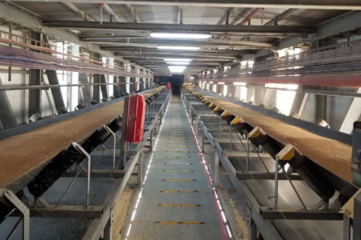 La nueva cinta elevadora aumenta la velocidad de embarque de 1200 a 2400 toneladas/hora y posibilita cargar dos tipos de productos diferentes de forma simultánea