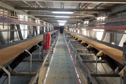 La nueva cinta elevadora aumenta la velocidad de embarque de 1200 a 2400 toneladas/hora y posibilita cargar dos tipos de productos diferentes de forma simultánea