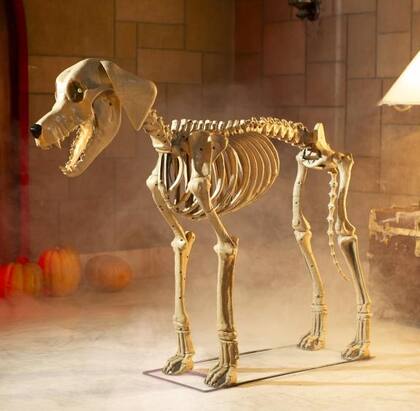 La nueva colección de Skelly incluye figuras de perro y gato de esqueleto (homedepot.com)