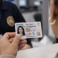 Florida ya aprobó un cambio para las licencias que comenzará en 2027