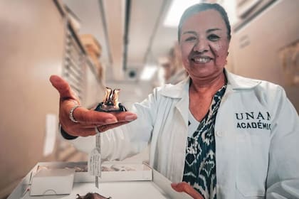La nueva especie llevó el nombre de una investigadora (Foto: UNAM Global)