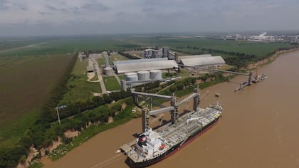 La nueva inversión permitirá procesar camelina, carinata, canola y girasol, además de soja