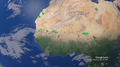 La nueva investigación encontró círculos de hadas más allá de Nambia, en el Sahel, el Sáhara Occidental y en el Cuerno de África