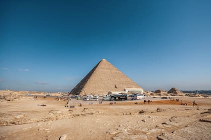 La nueva investigación trajo grandes interrogantes para los expertos (Foto: Freepik)