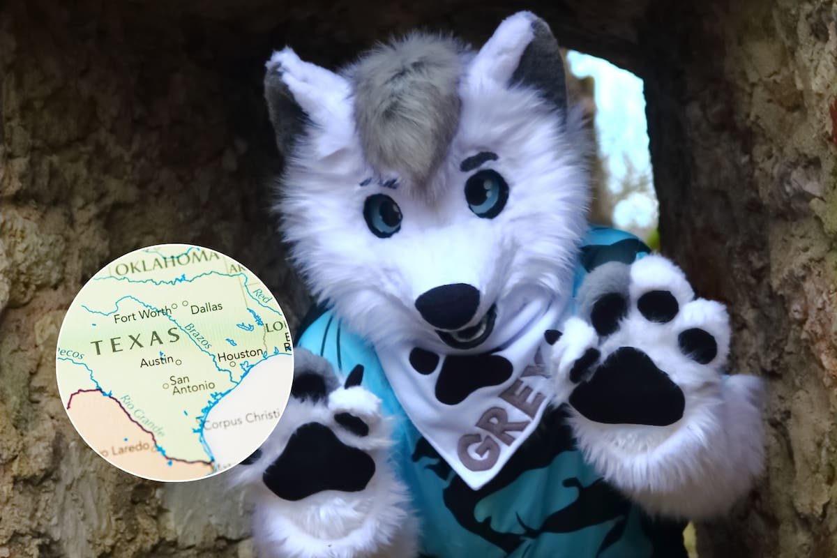 La nueva ley prohíbe el uso de collares, correas, colas artificiales y orejas de animales en las escuelas, excepto en obras de teatro o eventos autorizados