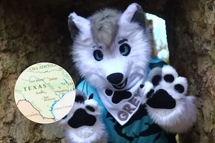 La nueva ley prohíbe el uso de collares, correas, colas artificiales y orejas de animales en las escuelas, excepto en obras de teatro o eventos autorizados