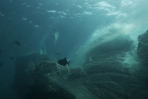 La nueva línea de smartphones de Samsung utilizará partes plásticas con material reutilizado de redes de pesca abandonadas en el mar