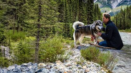 La nueva película de Netflix cuenta la atrapante historia de un dueño y su perro que se pierden en un enorme bosque